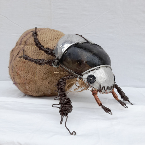 Dung beetle